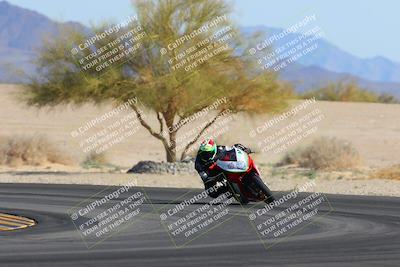 media/Feb-04-2023-SoCal Trackdays (Sat) [[8a776bf2c3]]/Turn 4 (Tree of Life 2pm)/